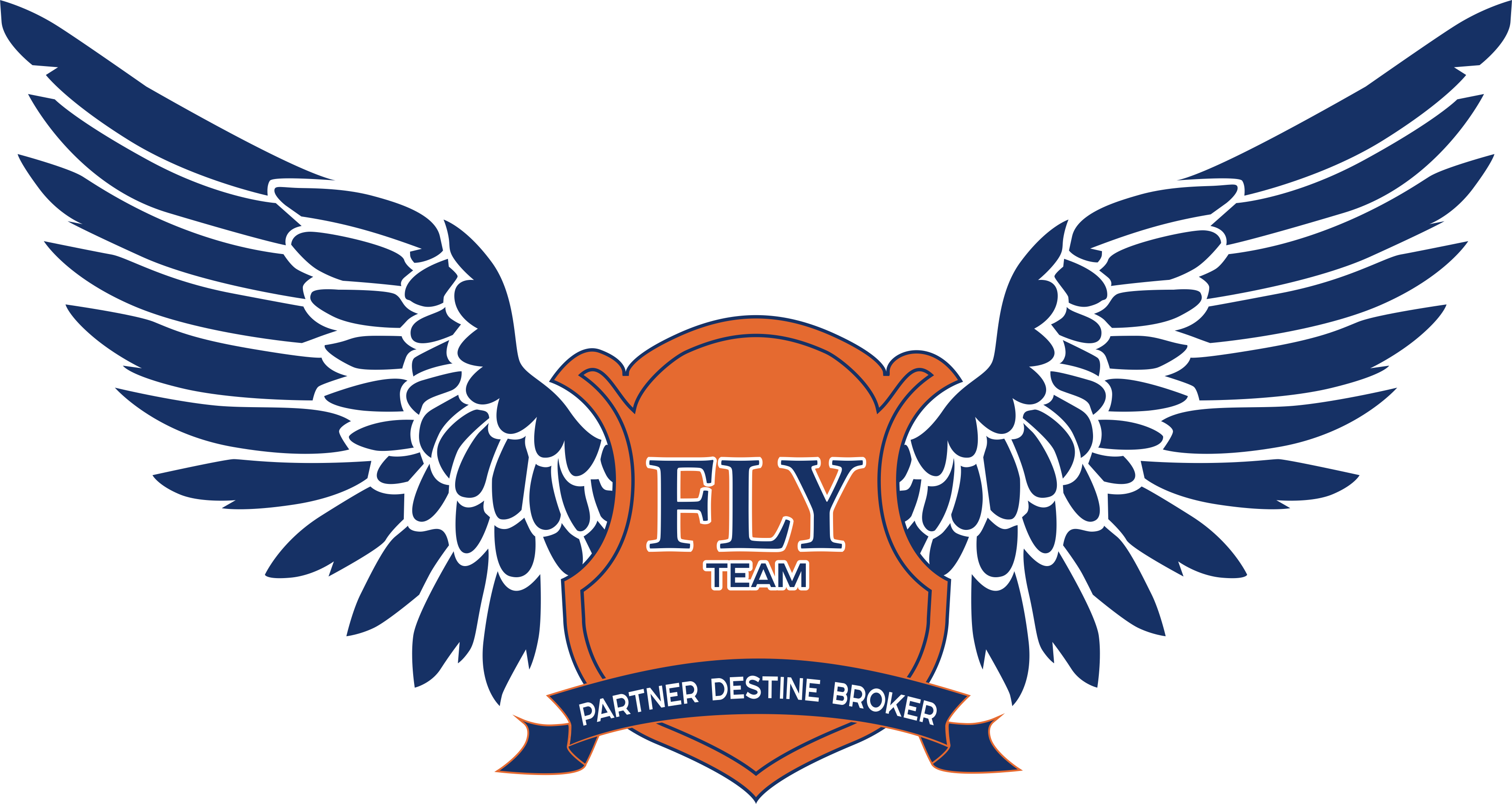 Fly Team